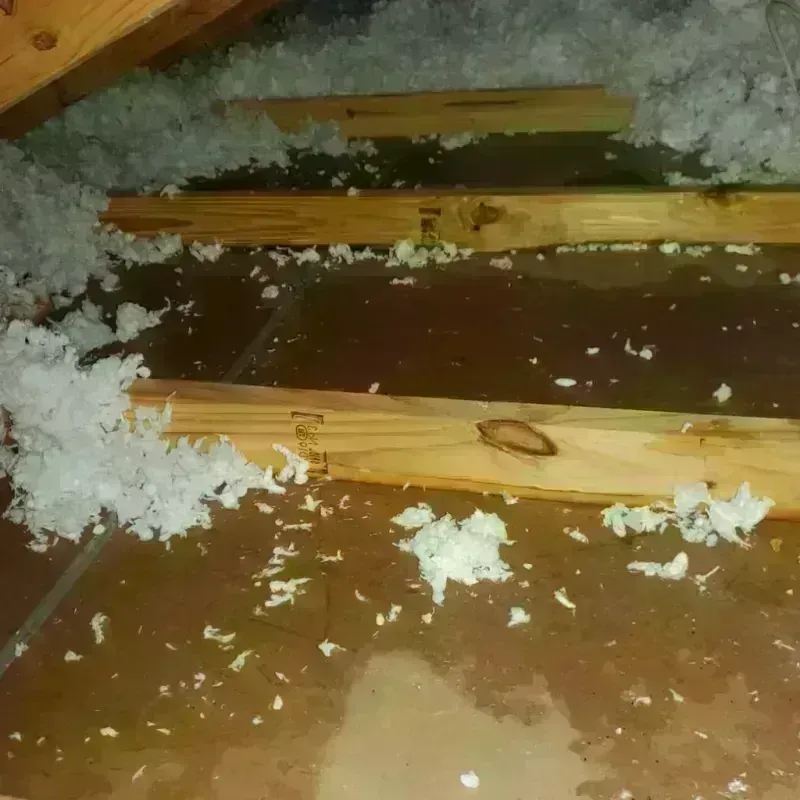 Attic Water Damage in Gravel Ridge, AR